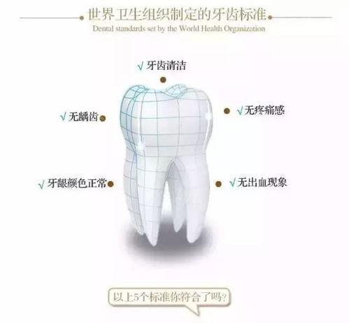 公布天津佳美爱牙仕口腔价格表 整牙/活动义齿/整牙没想象的贵