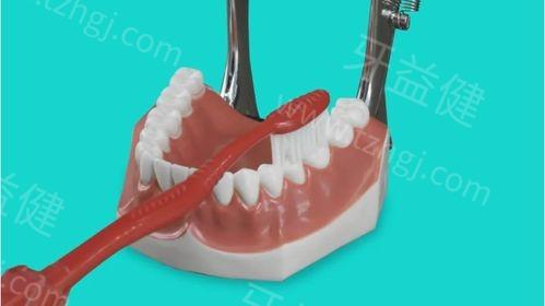 公布成都爱无界华医口腔价目表 其中牙周治疗价格5000起、全口种植牙价格100000起